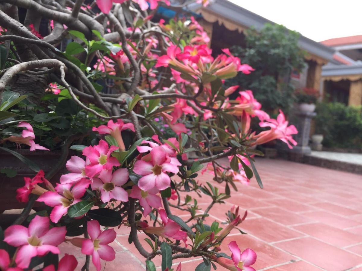 Tam Coc Tropical Garden 호텔 닌빈 외부 사진